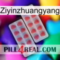 Ziyinzhuangyang 19